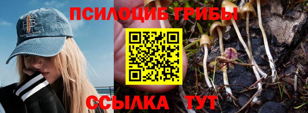 Карачаевск  Псилоцибиновые грибы Cubensis  Вход с VPN  Псилоцибиновые грибы GOLDEN TEACHER 